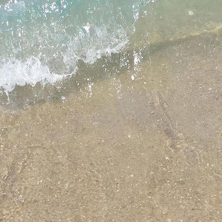 Pousada Sereia Morena Floripa Florianópolis Eksteriør bilde
