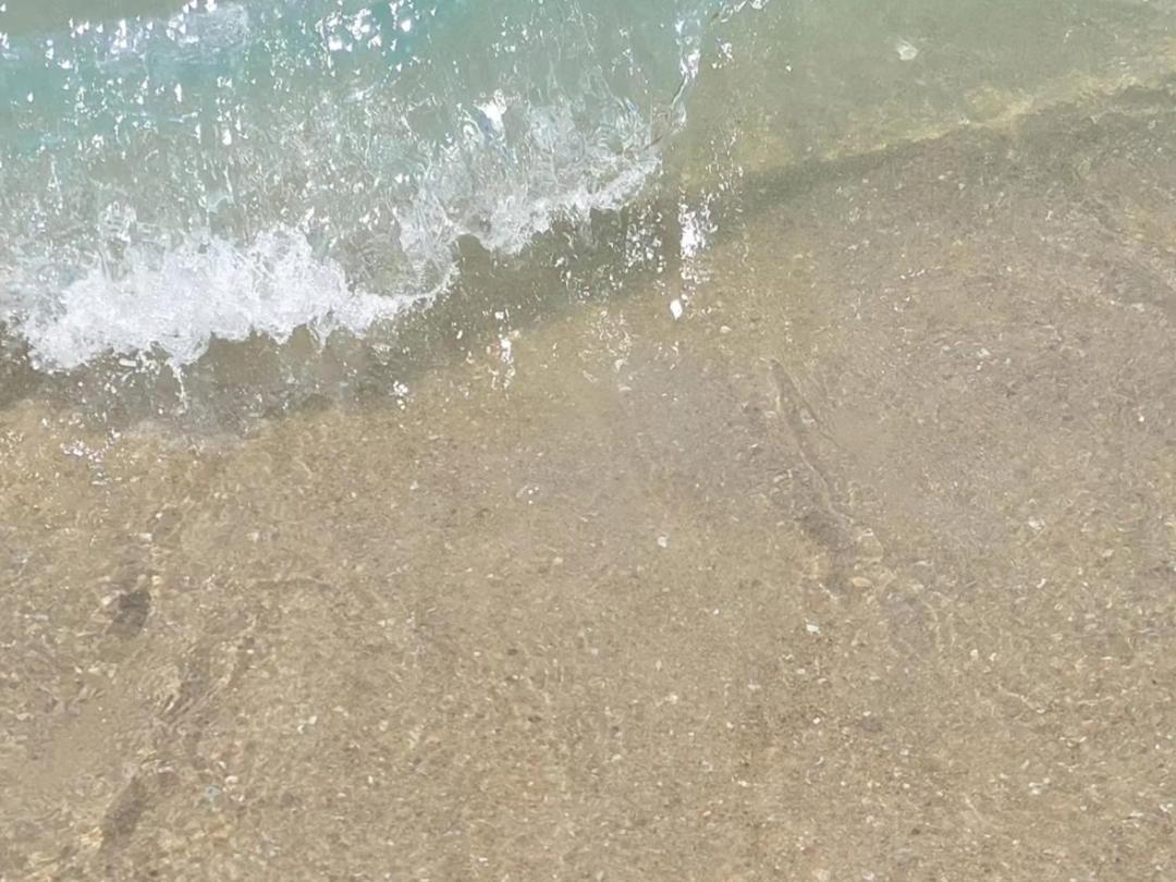 Pousada Sereia Morena Floripa Florianópolis Eksteriør bilde